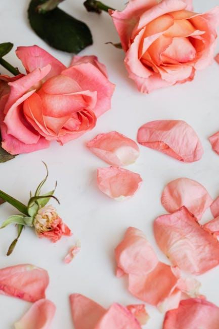 signs-your-loves-fading-how-to-tell-if-they-dont-love-you.jpeg Signs Your Love’s Fading: How to Tell If They Don’t Love You