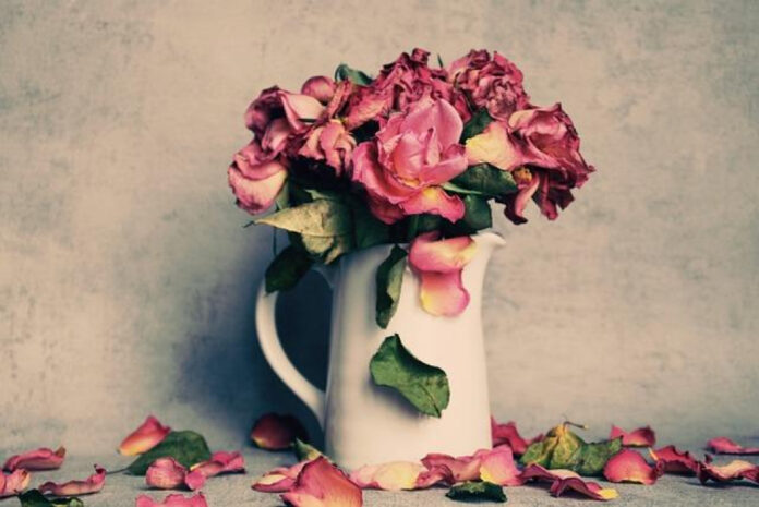 love-lost-overcoming-resentment-towards-your-partner.jpg Love Lost: Overcoming Resentment Towards Your Partner