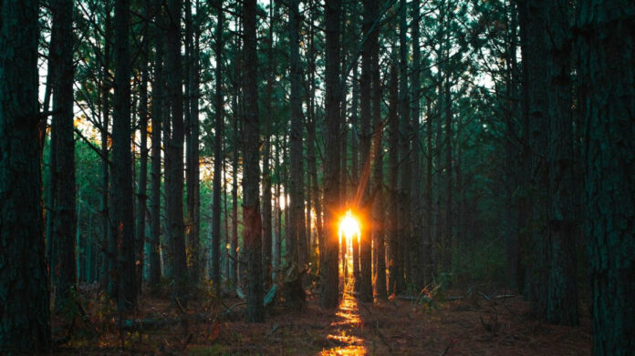 finding-hope-in-the-depths-of-despair-embracing-lifes-ups-and-downs.jpg Finding Hope in the Depths of Despair: Embracing Life’s Ups and Downs