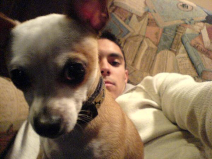 The Ultimate Guide to 10lb Dogs: Breeds, Care, and Health Tips