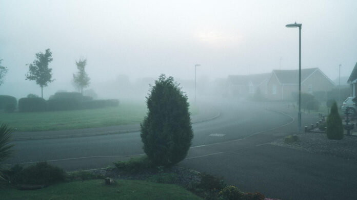 Unforgettable March 11 Holidays: Don’t Miss Out!