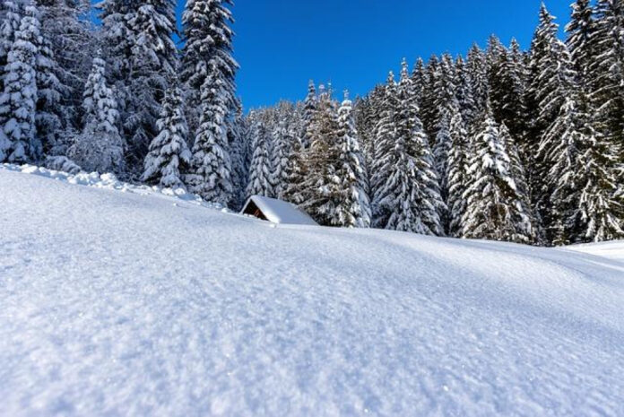 Unleashing the Magic of December 21 Holidays