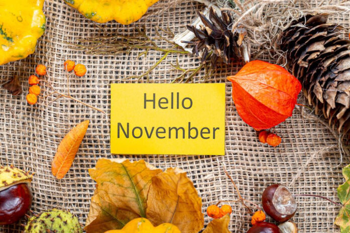 November’s Epic National Holidays: Your Ultimate Guide