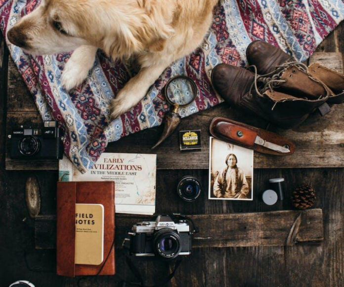 Essential Dog Supplies: Must-Have Items for Pet Owners