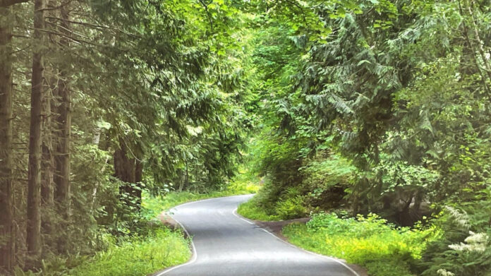 Unforgettable August 22 Holidays You Won’t Want to Miss!