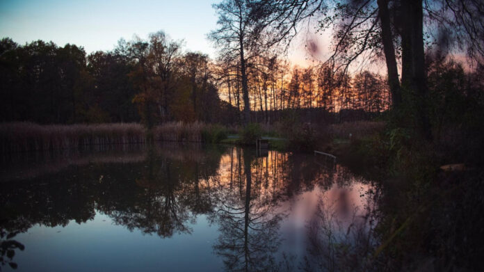 Delicious Bavarian Crepes: A Heavenly German Treat!