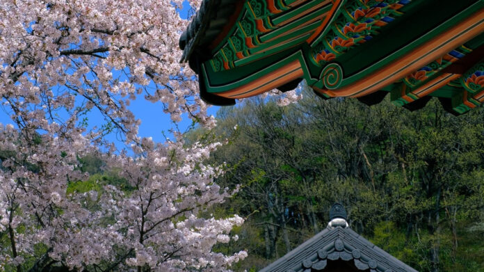 uncover-the-hidden-gems-of-april-27-holidays.jpg Uncover the Hidden Gems of April 27 Holidays