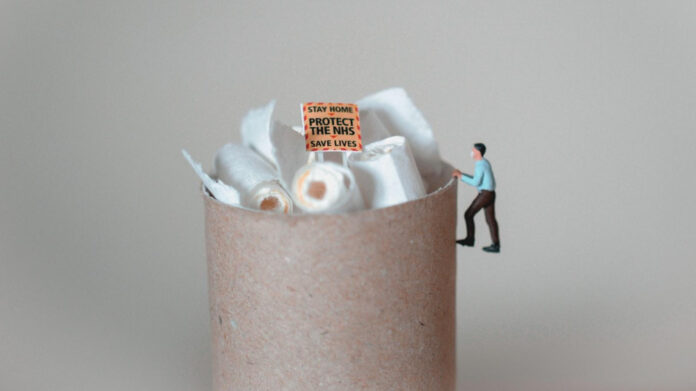 The Top 10 Fluffy Small Dogs: A Comprehensive Guide