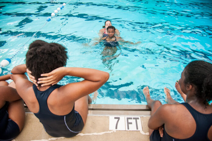 The Top Swimming Dogs: A Definitive Guide