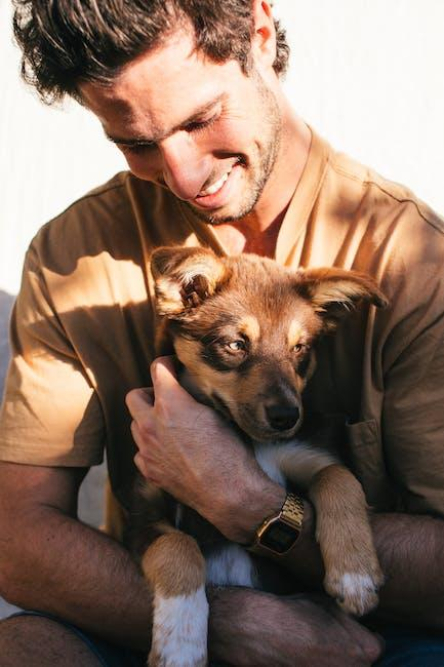 top-dog-friendly-beach-vacations-on-east-coast.jpeg Top Dog Friendly Beach Vacations on East Coast