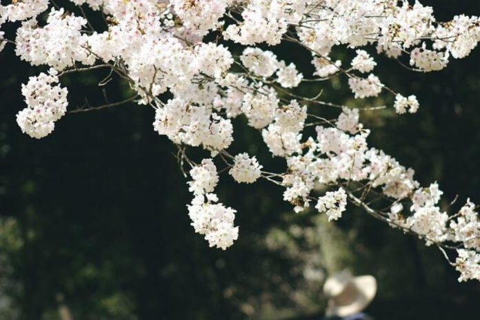 unforgettable-april-celebrating-our-national-holiday.jpg Unforgettable April: Celebrating Our National Holiday
