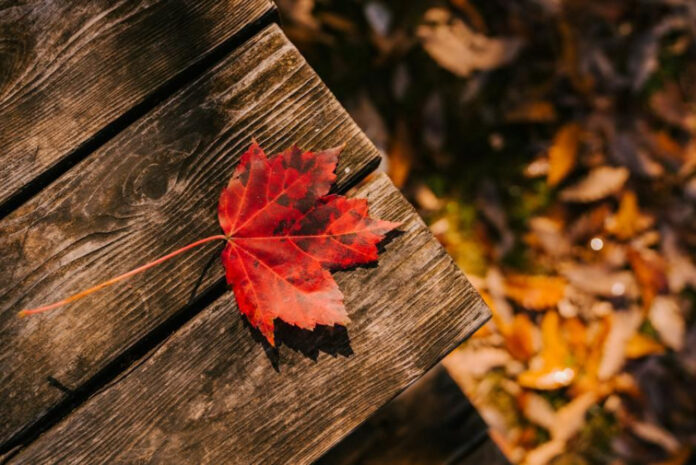 Uncover the Eye-Opening Truth about September Month Awareness