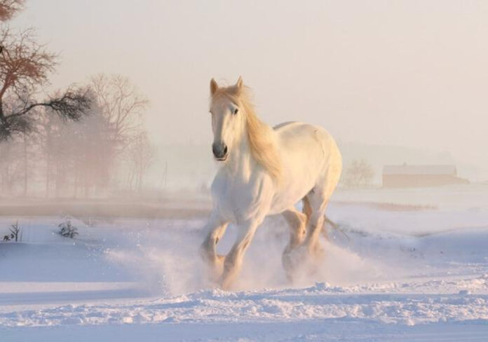 Unmissable December National Holidays 2024: What’s Happening