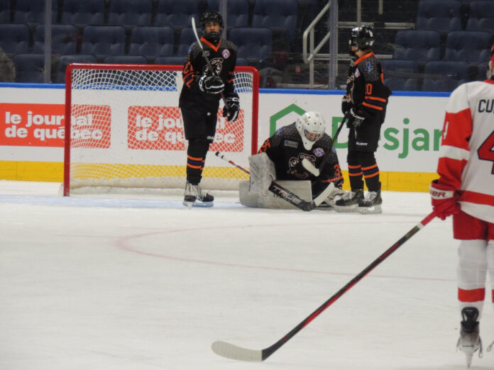 The Origin of Boston Terriers: A Historical Analysis