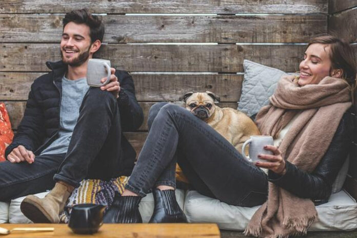 Understanding the Anatomy of Pug Teeth: A Detailed Diagram