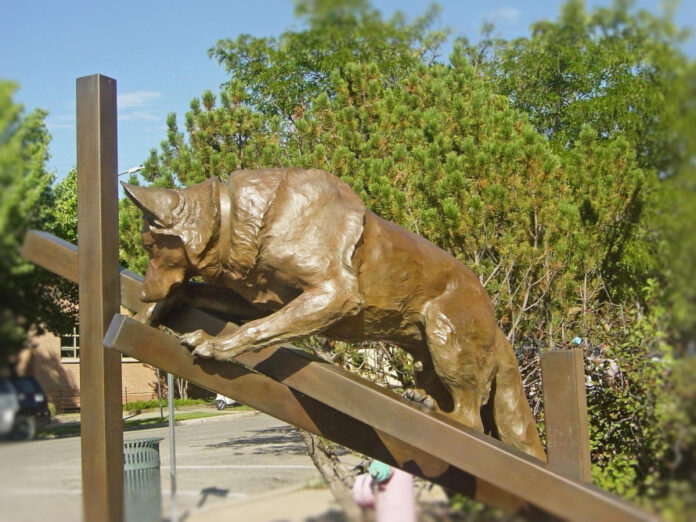 The Ultimate Guide to Types of Shepherd Police Dogs