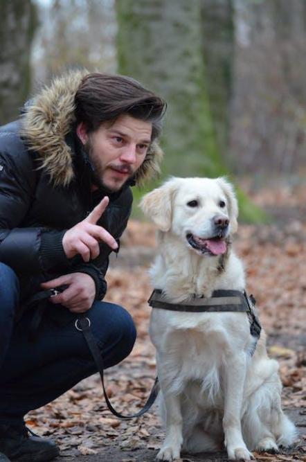top-dog-training-names-the-best-options-for-your-canine-companion.jpeg Top Dog Training Names: The Best Options for Your Canine Companion