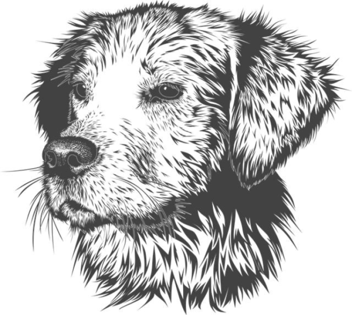 best-dogs-that-get-along-with-cats-a-comprehensive-guide.png Best Dogs That Get Along with Cats: A Comprehensive Guide