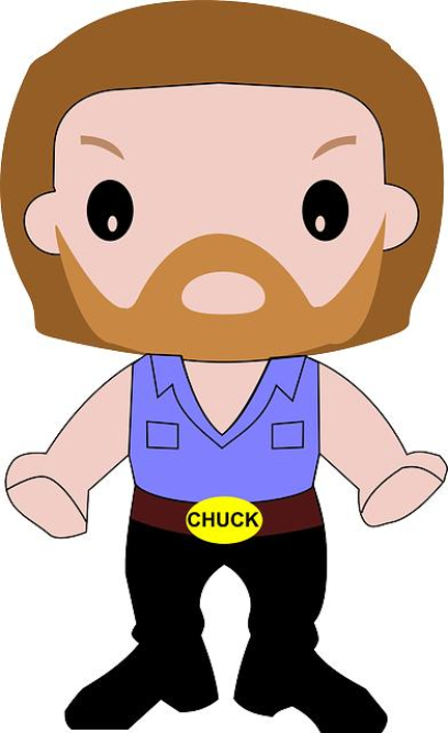 Chuck Norris Today: Life And Legacy - Animascorp
