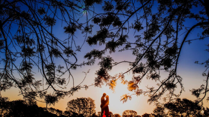 Rekindle Your Love: Tips to Fall Back in Love Again