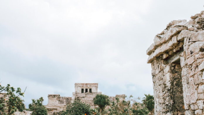 Discover the Most Inspirational Maya Angelou Quotes