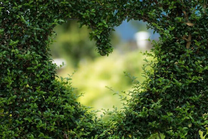 Understanding the Meaning of “I Love You But I’m Not in Love with You