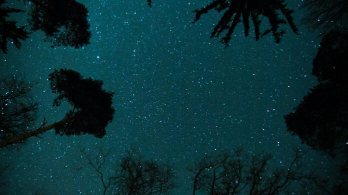 unleash-your-sunday-night-motivation-now-embrace-the-week-ahead.jpg Unleash Your Sunday Night Motivation Now – Embrace the Week Ahead