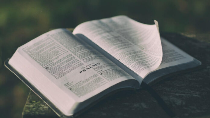 Are you seeking inspiration? Discover touching Bible verses about life