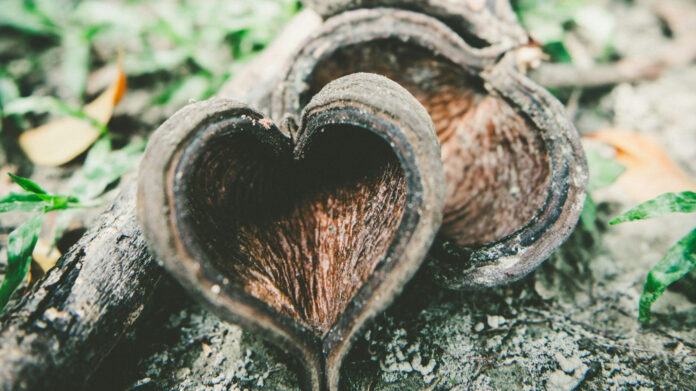 Navigating Love: Understanding the ‘I Love You’ But Not Official Title Dynamic
