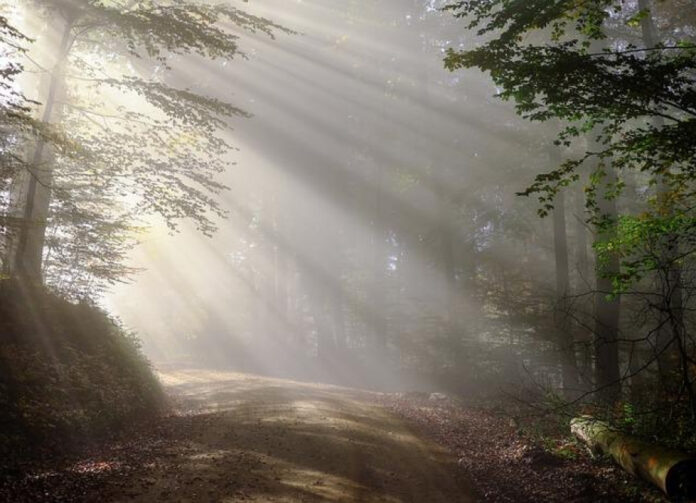 Need a Boost? Inspire Your Friends with These Morning Quotes!