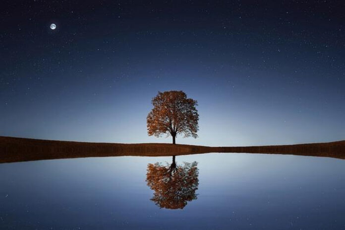 Remembering the stars we lost in 2023