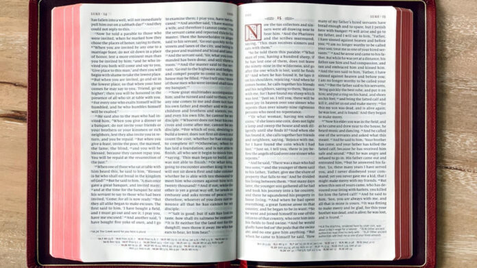 Luke Rodgers: A Comprehensive Career Overview