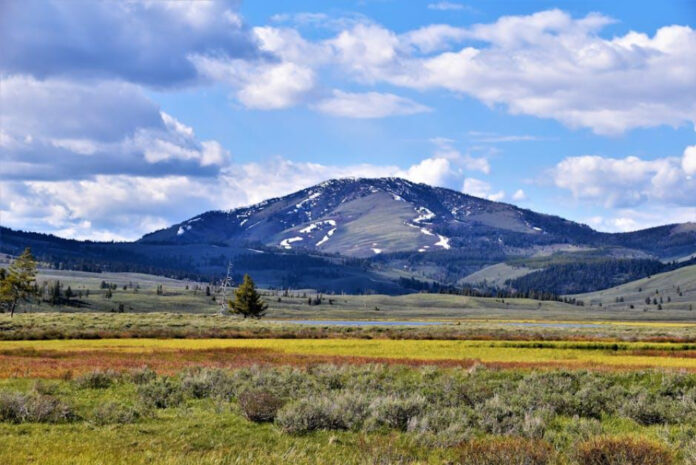 Yellowstone’s Latest Season: Release, Cast, and Plot