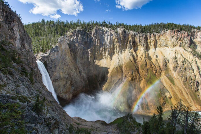 Exploring Yellowstone Spinoffs: What’s Next for the Hit Series