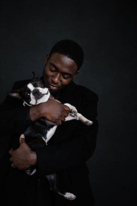 the-origins-of-the-boston-terrier-a-historical-analysis.jpeg The Origins of the Boston Terrier: A Historical Analysis