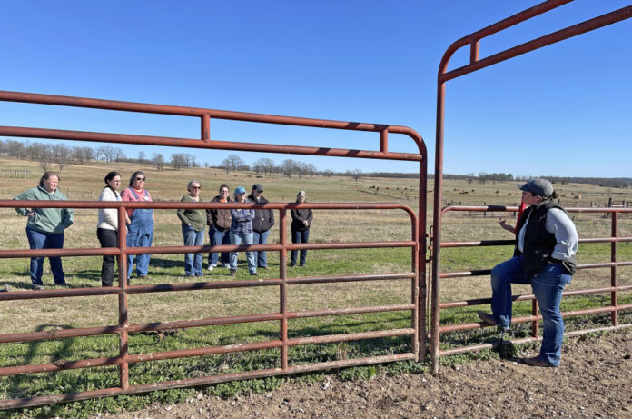 The Ultimate Cattle Antibiotic Chart: A Comprehensive Guide