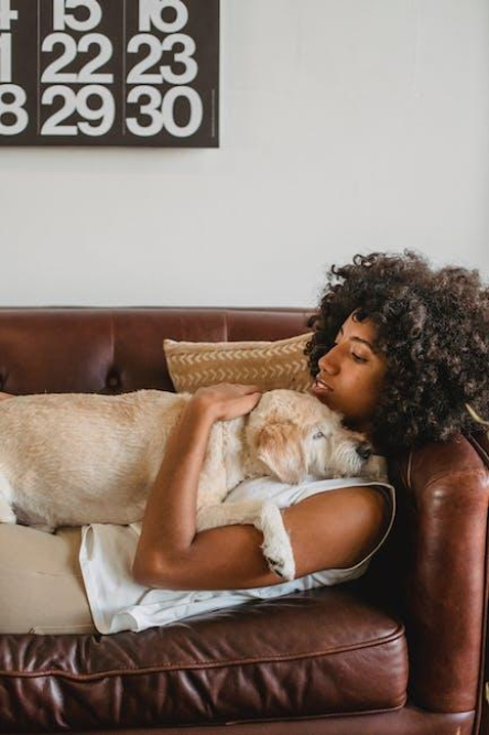 maximize-canine-health-with-denamarin-advanced-for-dogs.jpeg Maximize Canine Health with Denamarin Advanced for Dogs
