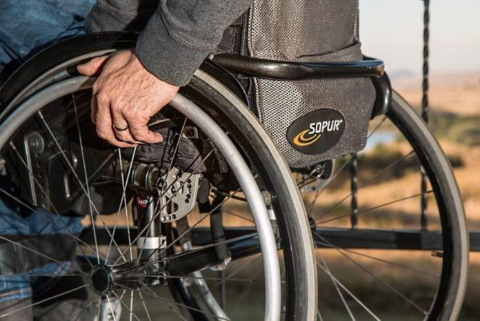 The Ultimate Guide to Walkin Pets Wheelchair: Everything You Need to Know