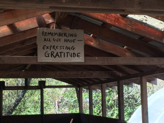 expressing-gratitude-thanksgiving-wishes-to-employees.jpg Expressing Gratitude: Thanksgiving Wishes to Employees