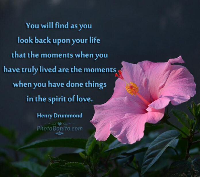 Inspirational Quotes for Today’s Work Success