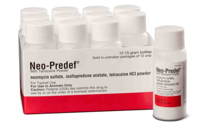 neo-predef powder